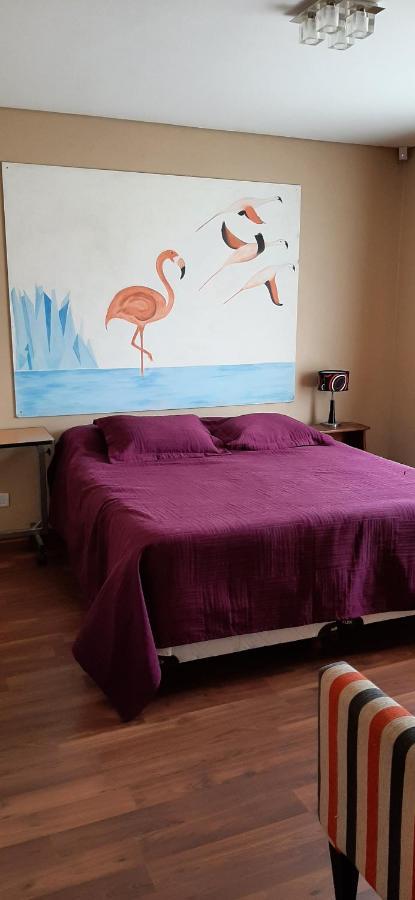 Apartment Shotel Calafate El Calafate